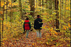 Great place for forest hikes